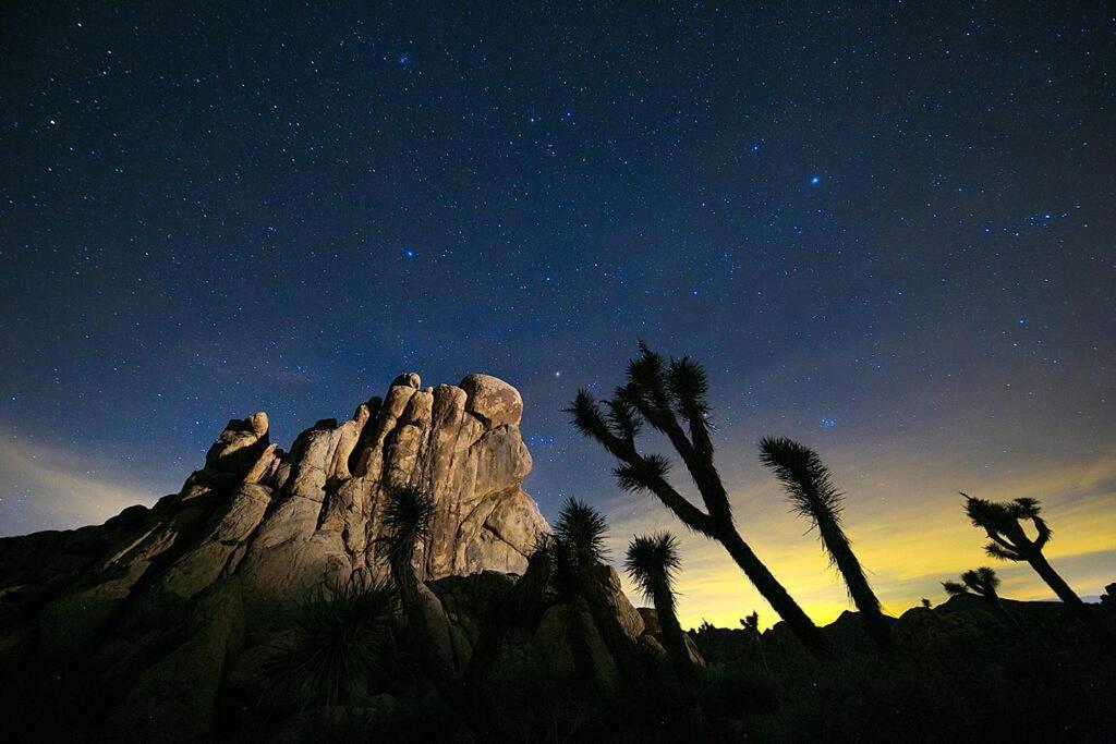 Ting'S House Villa Joshua Tree Exterior photo